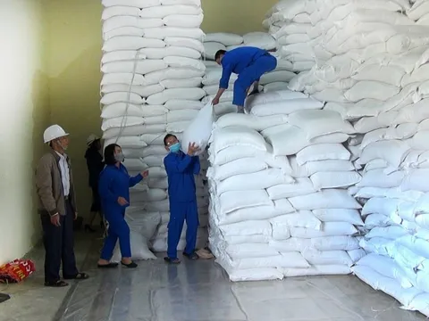 Xuất cấp hơn 432 tấn gạo hỗ trợ tỉnh Bình Phước