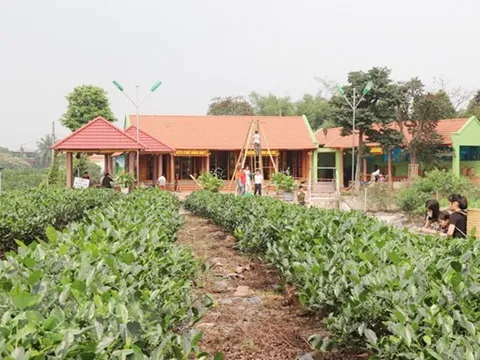 Tạo sinh kế cho người dân qua mô hình Du lịch nông nghiệp nông thôn