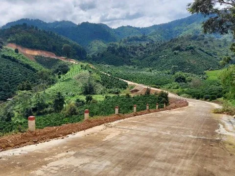 Hỗ trợ 22 huyện nghèo thoát nghèo