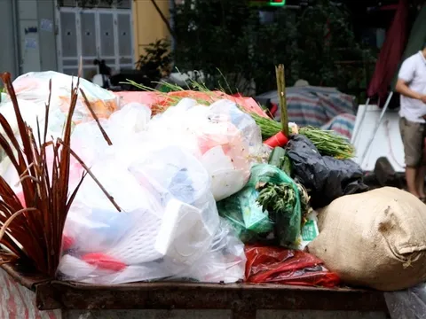 Tổng cục Môi trường: Chưa xử phạt người không phân loại rác từ 25.8