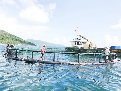 Phát triển nuôi cá lồng bè trên biển bền vững, thích ứng với biến đổi khí hậu
