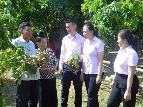 Sơn La: Nguồn vốn tín dụng chính sách giúp hàng trăm nghìn hộ dân thoát nghèo