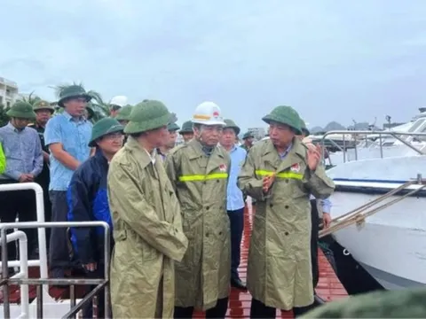 Thứ trưởng Bộ NN&PTNT kiểm tra công tác phòng, chống bão tại Quảng Ninh