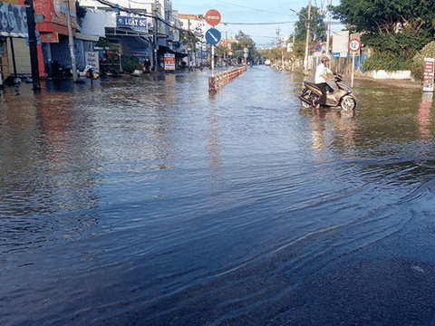 Cần Thơ chủ động ứng phó triều cường