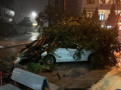 Nhiều đô thị bị ngập, hàng trăm cây xanh gãy đổ do ảnh hưởng của bão số 3