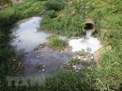 Xả thải ra môi trường, công ty thu gom và xử lý rác bị xử phạt hơn nửa tỷ đồng