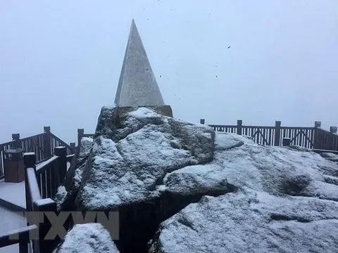 Nhiệt độ giảm sâu, đỉnh Fansipan xuất hiện mưa tuyết dày