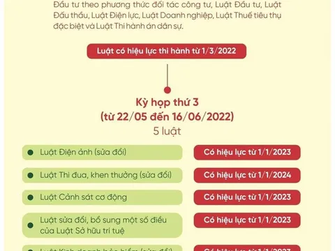 12 luật được Quốc hội khóa XV thông qua năm 2022