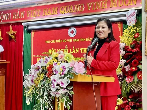 Hội Chữ thập đỏ tỉnh Bắc Giang: Năm 2022 nỗ lực và thành công