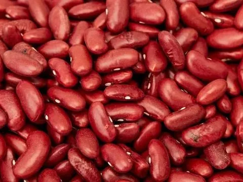 5 thực phẩm giàu chất chống oxy hóa giúp thúc đẩy trái tim khỏe mạnh