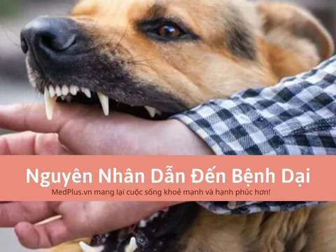 Bệnh dại – Bệnh truyền nhiễm cấp tính có nguy cơ tử vong cao