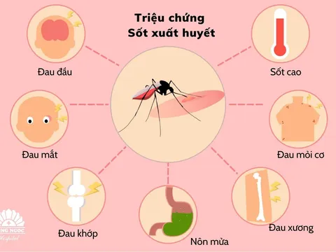 Không được chủ quan với bệnh sốt xuất huyết