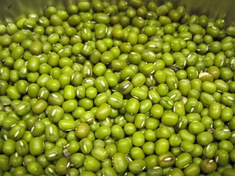 Đậu xanh – thực phẩm bổ dưỡng lại có công dụng chống ung thư