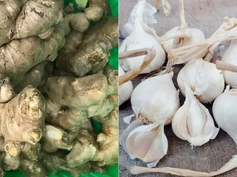 Thực phẩm hỗ trợ tốt cho phổi sau khi mắc COVID-19