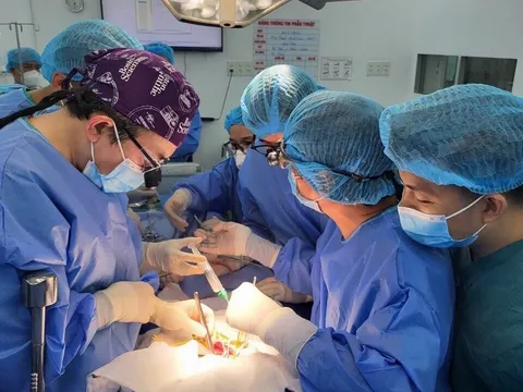 3 bệnh viện ở TP Hồ Chí Minh thiết lập mạng lưới quản lý hiến, ghép thận