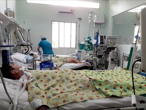 TP. Hồ Chí Minh: Ca sốt xuất huyết nặng gia tăng