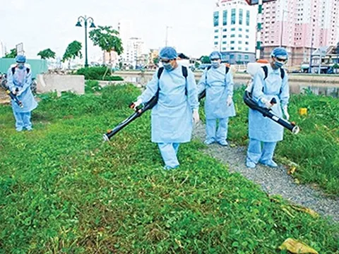 Hà Nam: Ngành y tế đang khẩn trương triển khai các biện pháp khoanh vùng dập dịch sốt xuất huyết
