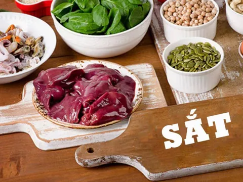 Dinh dưỡng phòng và điều trị thiếu máu