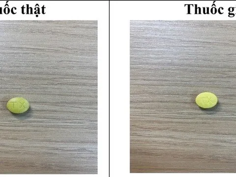 Cục quản lý Dược cảnh báo về thuốc kháng sinh Tetracyclin giả