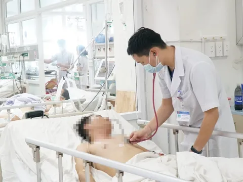 Đắk Lắk:  3 người nhập viện trong tình trạng nguy kịch do ăn nhộng ve sầu