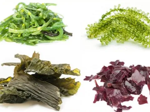Bổ sung thực phẩm giàu axit béo omega-3 tăng cường sức khỏe