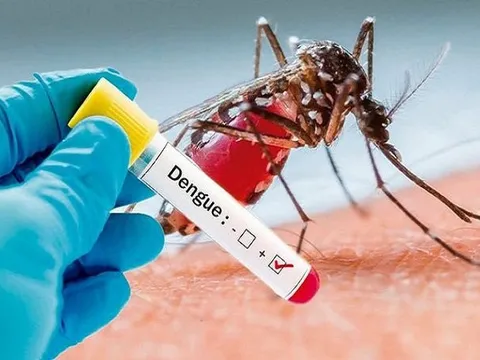 Phân tuyến quản lý điều trị người bệnh sốt xuất huyết Dengue