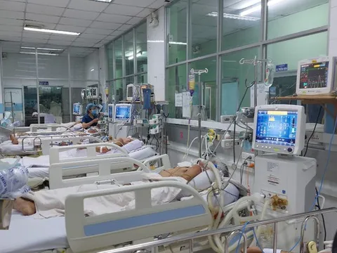 TP. Hồ Chí Minh: 16 ca tử vong do sốt xuất huyết