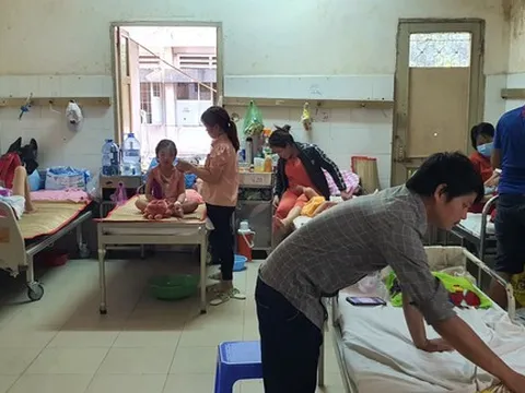 Bình Dương ghi nhận 15 ca tử vong do sốt xuất huyết