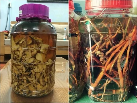 Tùy tiện sử dụng rượu thuốc tự ngâm khiến không ít người... rước họa vào thân