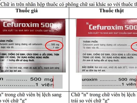 Thu hồi thuốc Rotundin không đạt chất lượng và lô thuốc Cefuroxim 500 giả