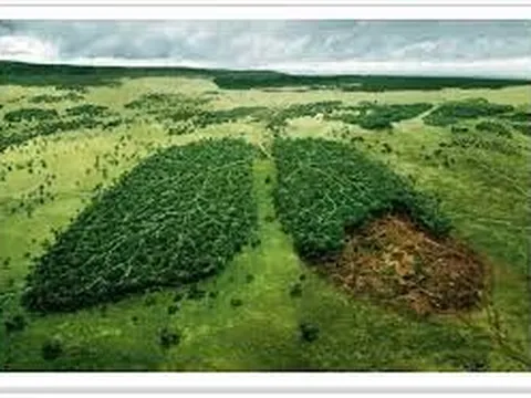 Những người chưa bao giờ hút thuốc lá vẫn mắc ung thư phổi