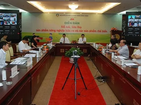 Người tiêu dùng còn nhiều nghi ngại về nông sản hữu cơ