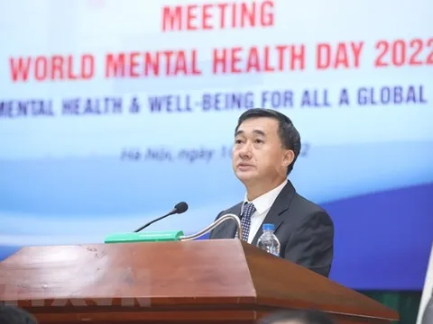Gần 15 triệu người Việt mắc 10 rối loạn tâm thần thường gặp