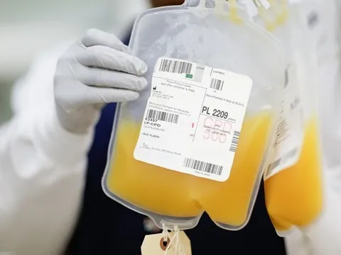 Sở Y tế TP.HCM yêu cầu các bệnh viện đảm bảo cung ứng  dịch truyền Albumin, Globulin