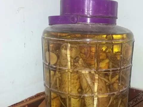 Sử dụng rượu ngâm không rõ nguồn gốc có thể gây ra ngộ độc, nguy hiểm tính mạng