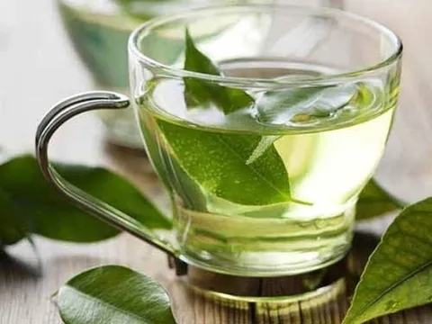 Nước lá vối tốt cho sức khỏe nhưng không phải ai cũng uống được