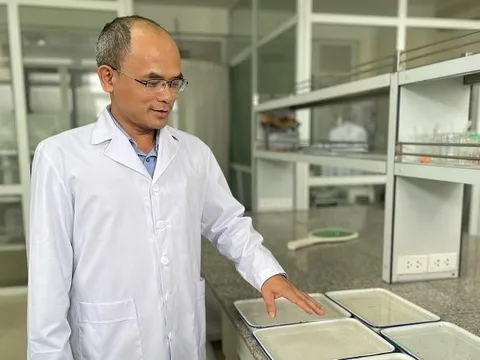 Hà Nội có nguy cơ thành “điểm nóng” nhất nước về sốt xuất huyết