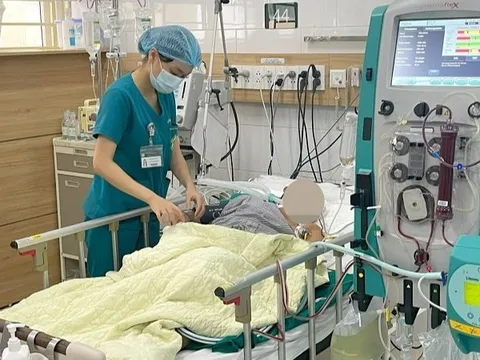 3 bệnh nhân trong một gia đình tử vong do ngộ độc nấm rừng