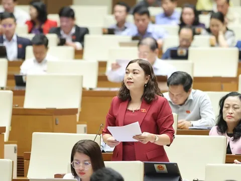 Đại biểu Quốc hội tranh luận về quy định nồng độ cồn khi tham gia giao thông