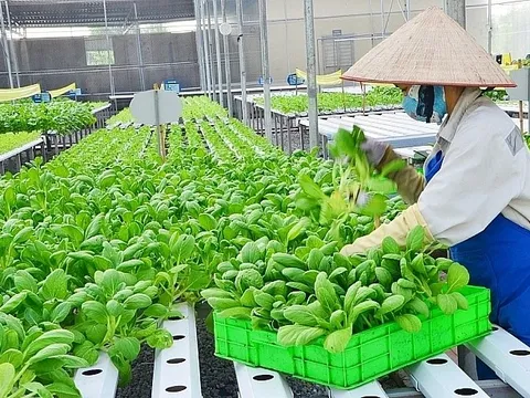 Chuyển đổi xanh trong nông nghiệp, mở ra nhiều cơ hội phát triển