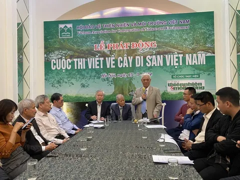 Cuộc thi viết về Cây Di sản Việt Nam - Lan tỏa ý tưởng xanh