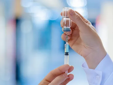 Số ca tử vong do bệnh dại tăng cao