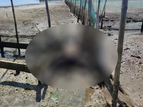 Quảng Bình: Phát hiện thi thể người đàn ông đang phân hủy ở hạ lưu sông Gianh