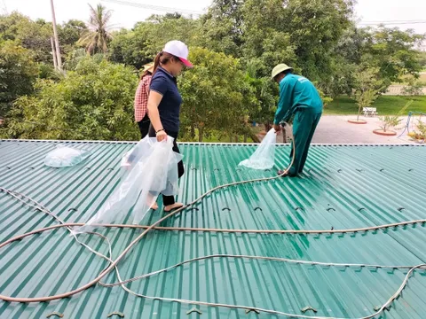 Quảng Bình cho học sinh nghỉ học từ ngày 28/9 để tránh trú bão Noru