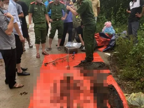 Quảng Bình: Phát hiện bộ xương người trong rừng keo