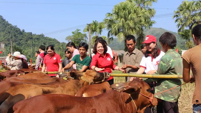 Xứng đáng với vai trò nòng cốt trong công tác  nhân đạo